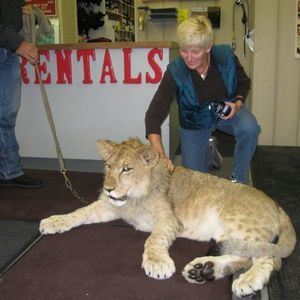 Meet your Posher, Carol